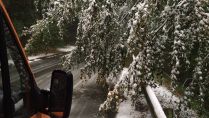 Plötzlicher Schneefall: Straßensperrungen im Kreisgebiet wegen umgestürzten Bäumen 